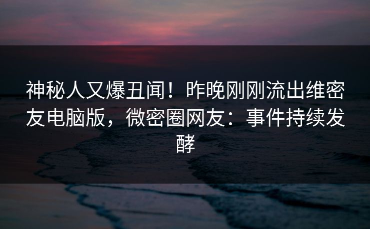 神秘人又爆丑闻！昨晚刚刚流出维密友电脑版，微密圈网友：事件持续发酵