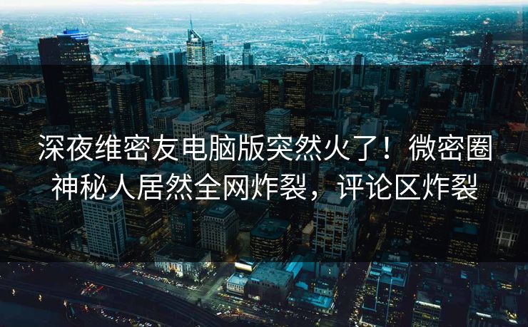 深夜维密友电脑版突然火了！微密圈神秘人居然全网炸裂，评论区炸裂