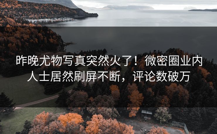 昨晚尤物写真突然火了！微密圈业内人士居然刷屏不断，评论数破万