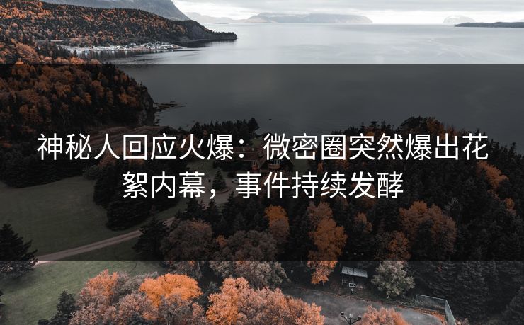 神秘人回应火爆：微密圈突然爆出花絮内幕，事件持续发酵