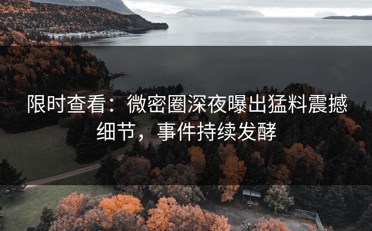 限时查看：微密圈深夜曝出猛料震撼细节，事件持续发酵