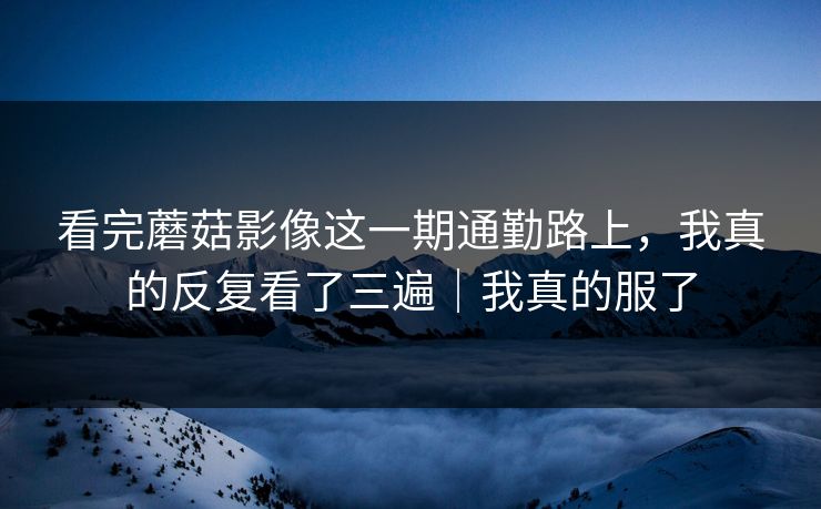 看完蘑菇影像这一期通勤路上,我真的反复看了三遍|我真的服了 看完蘑菇影像这一期通勤路上,我真的反复看了三遍|我真的服了