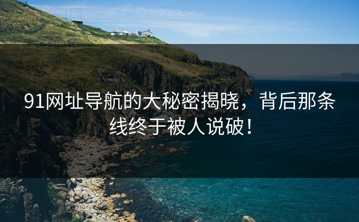91网址导航的大秘密揭晓，背后那条线终于被人说破！