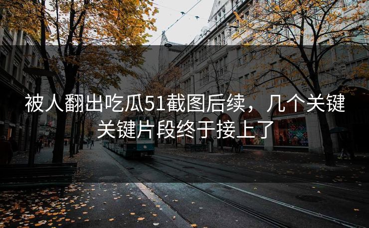 被人翻出吃瓜51截图后续，几个关键关键片段终于接上了
